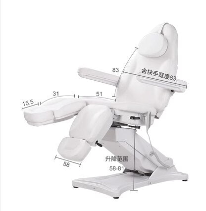 Beauty/Tattoo/Dental electric lifting inclined bed