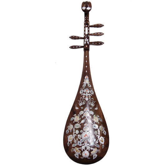 Pipa instrument inlaid shell carving