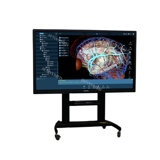 Digital Human Anatomy 3D body Virtual Autopsy Table
